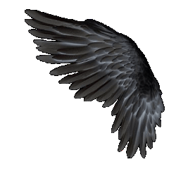 Link Image