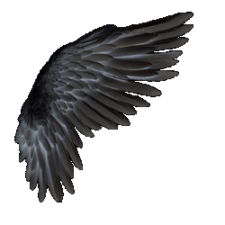 Link Image